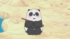 Una fidanzata per Panda