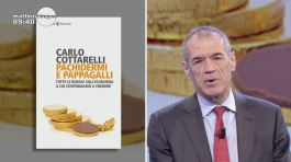 Carlo Cottarelli: "Pachidermi e pappagalli" thumbnail