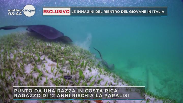 Ragazzino Ferito Dalla Razza Le Parole Di Liliana Copertino Mattino Cinque Video Mediaset Play