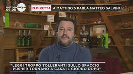 Matteo Salvini sul caso del citofono thumbnail