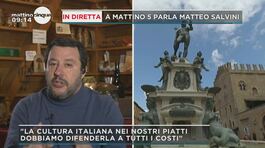 Salvini e la cultura italiana thumbnail