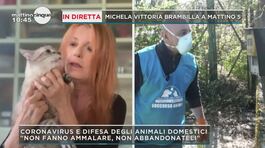 Coronavirus e animali: Michela Vittoria Brambilla thumbnail