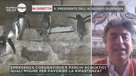 Il Presidente dell'Aquario di Genova thumbnail