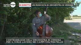 Verona: un musicista in fattoria thumbnail