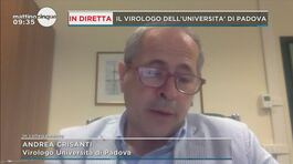 Prof. Andrea Crisanti: "Corriamo un rischio accettabile" thumbnail