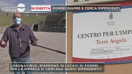 Pompei: riaprono gli scavi e si cerca dipedenti thumbnail