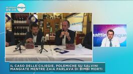 Il caso delle ciliegie, polemiche su Salvini thumbnail