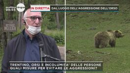 Trentino, in diretta dal luogo dell'aggressione dell'orso thumbnail