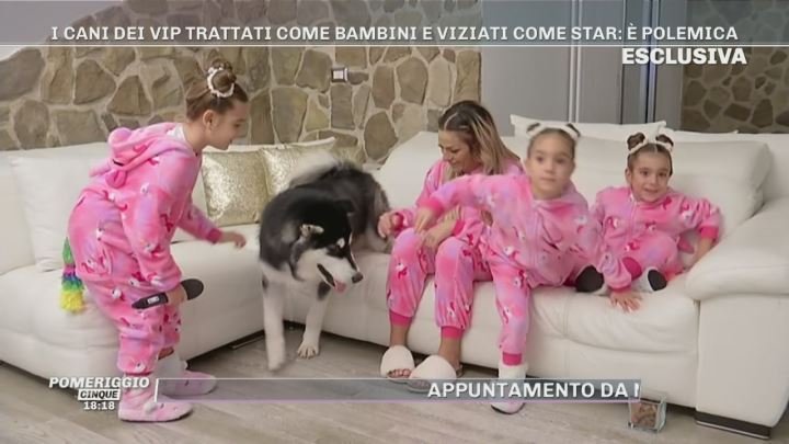 Il Cane Di Clemente Russo E Laura Maddaloni Pomeriggio Cinque Video Mediaset Play