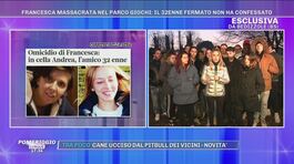 Bedizzole: Francesca, 39 anni, trovata morta nel parco giochi - le ultimissime thumbnail
