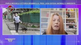 Michela Vittoria Brambilla: "I nostri volontari si occupano dei cani delle persone che non possono uscire da casa o che sono ricoverate" thumbnail