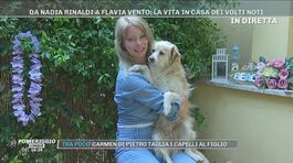 La vita in casa di Flavia Vento con i suoi sette cani thumbnail