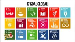 Gli obiettivi di sviluppo sostenibile dell'ONU thumbnail