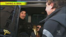 Tapiro d'oro a Zlatan Ibrahimovic thumbnail