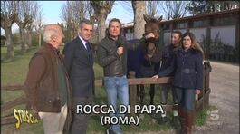 Mondiali di equitazione a Rocca di Papa thumbnail