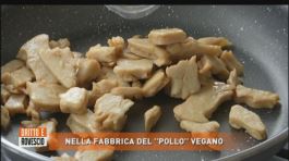 La fabbrica del pollo vegano thumbnail
