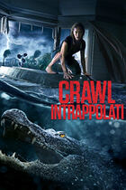 Trailer - Crawl - intrappolati