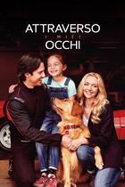 Trailer - Attraverso i miei occhi