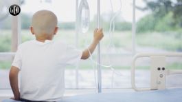 PECORARO: Ospedali da sogno: a Roma, cercando di salvare i bambini dalla leucemia thumbnail