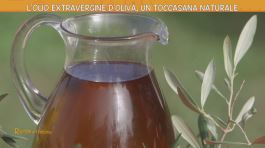 L'olio extravergine d'oliva thumbnail