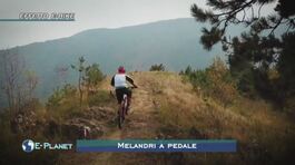 Melandri a pedale thumbnail