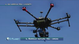 Il Barolo matura tra i droni thumbnail