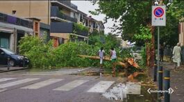 Disastro grandine in Veneto thumbnail