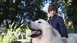 Oggi è il dog day thumbnail