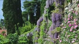 Un giardino affacciato sul mare thumbnail