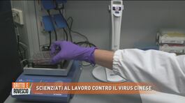 Coronavirus: il lavoro degli scienziati thumbnail