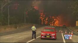Emergenza roghi e polemiche in Australia thumbnail