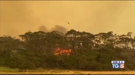 Il fuoco non si ferma, catastrofe Australia thumbnail