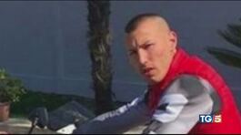 Willy, il branco con il reddito di cittadinanza thumbnail