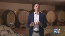 Gusto di Vino: vini rossi e uve internazionali thumbnail