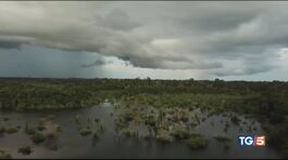 Il grido dell'Amazzonia: "Rischiamo di scomparire" thumbnail