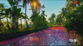Un fiume tutto rosa, un mistero indiano thumbnail