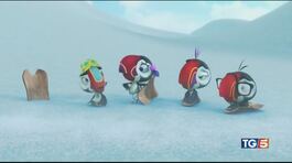 Arrivano i "Puffins" thumbnail