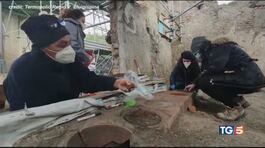 Meravigliosa Pompei, anche lo street food thumbnail