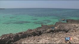 Come salvare la prossima stagione balneare? thumbnail
