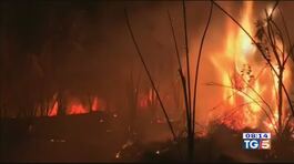 Tanti incendi in giro per il mondo thumbnail