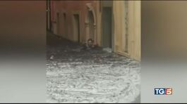 Tempesta al nord-est: a Verona l'acqua al collo thumbnail