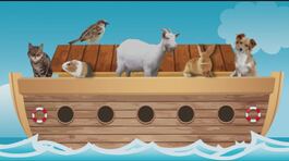 A bordo dell'arca oggi thumbnail