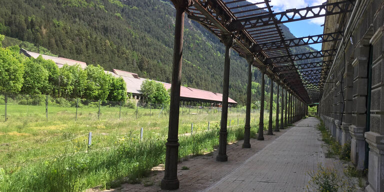 Focus Ingegneria degli Epic Fail