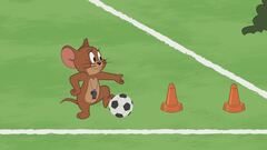 Jerry allenatore