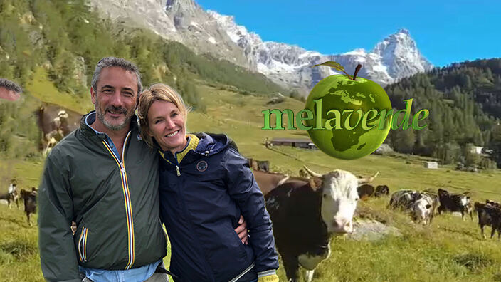 Melaverde