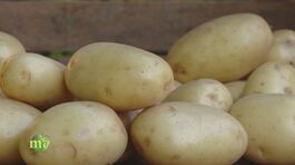 Diverse varietà di patate thumbnail