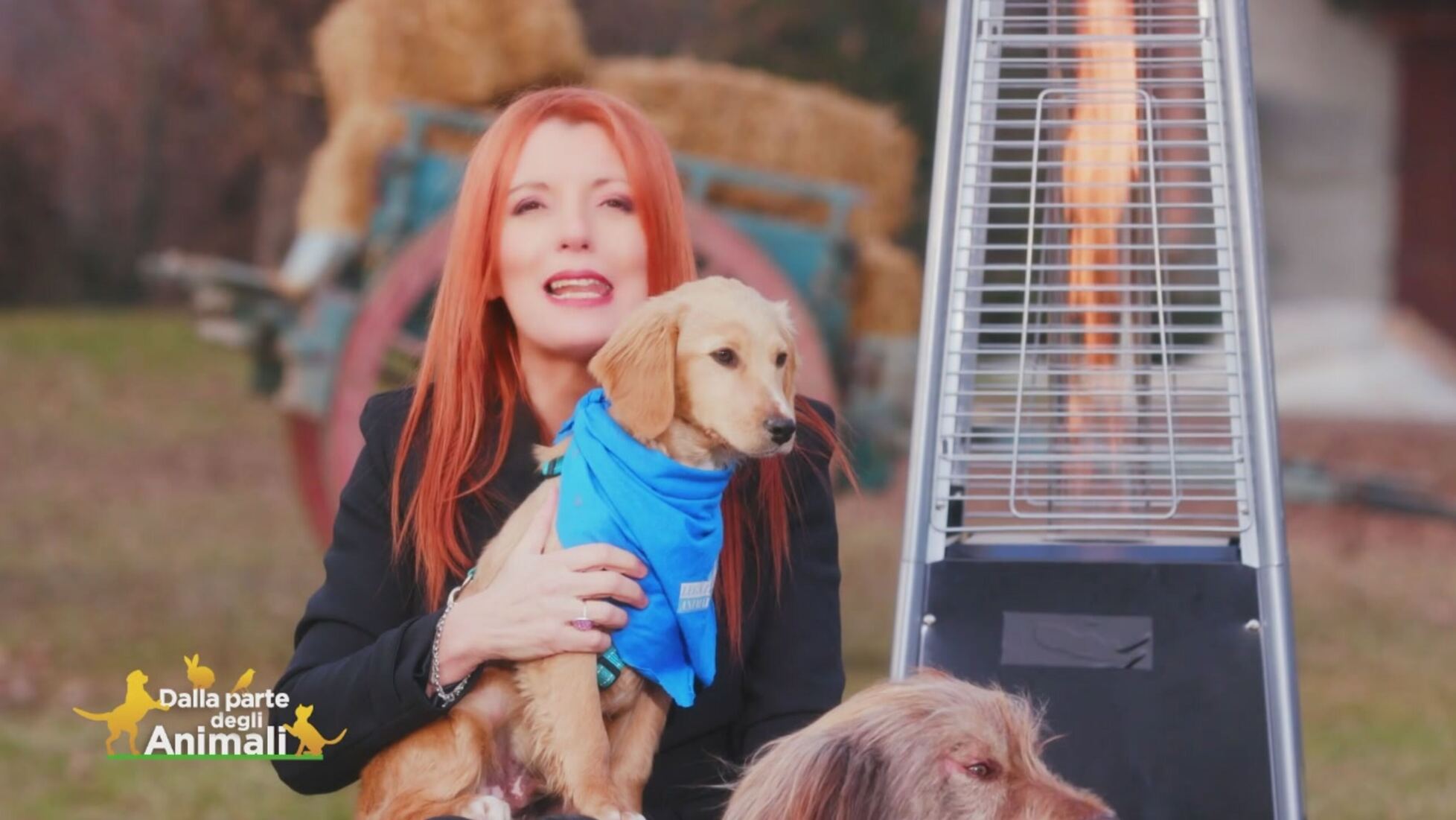 Dalla Parte Degli Animali Puntata Del 16 Febbraio Video Mediaset Infinity