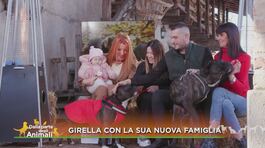 Una nuova famiglia per Girella thumbnail