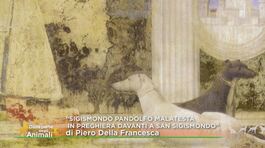 Uno dei capolavori di Piero della Francesca thumbnail