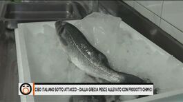 Il pesce greco invade le nostre tavole thumbnail